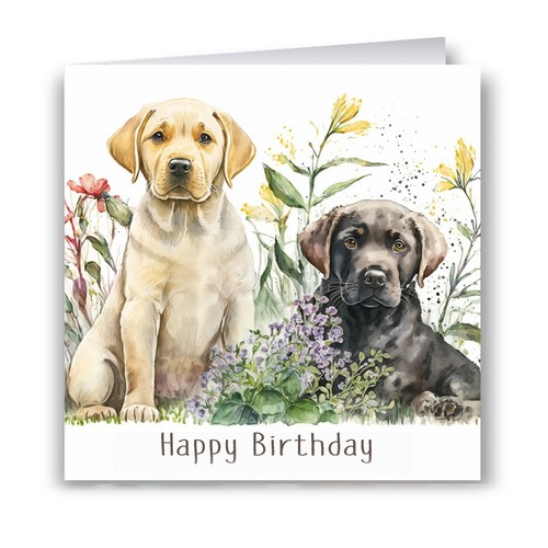 Labrador puppies birthday card - birthday,
