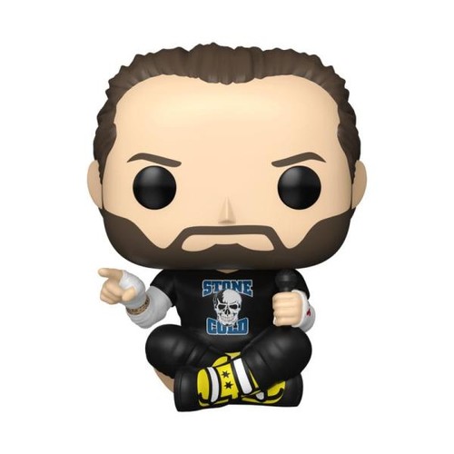 Wwe pop vinyl figure - vinyl, punk