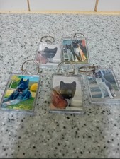 5 Japanese Akita Dog Keyrings