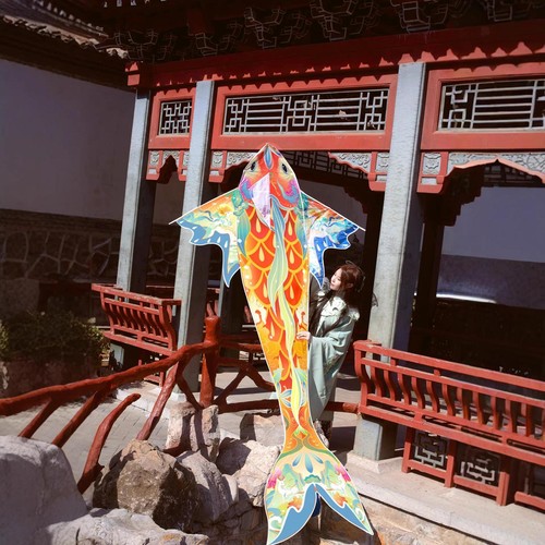 Koi large kite giant - kite,