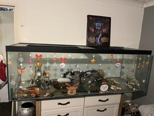 Extra Large Fish Tank And Stand 6ft By 2ft 