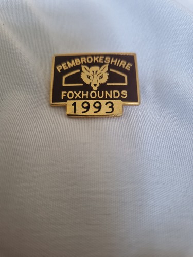 Fox hunting pembrokeshire - fox,