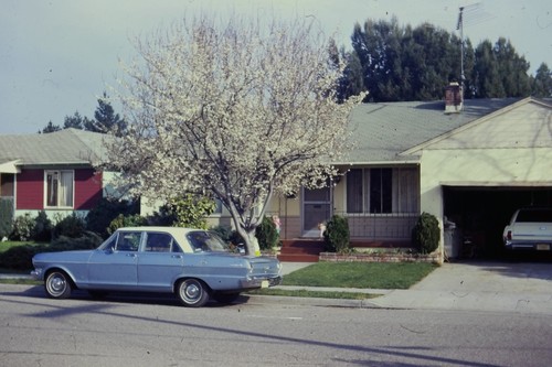C1960 35mm slide - 35mm, film
