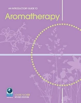 Introductory guide to - introductory,