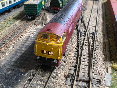 003 003dccs gauge dapol - n,
