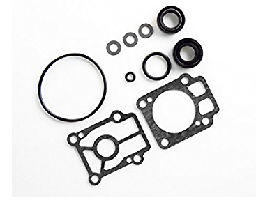 Gearbox lower unit - unit, seal