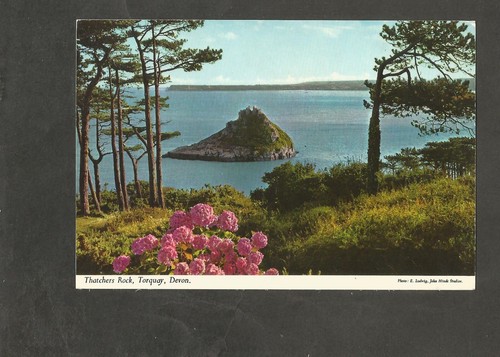 Postcard devon torquay - devon,