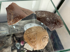 Lot of mid 16th Century Early