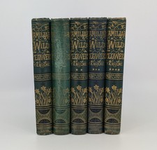 Familiar Wild Flowers Fifth