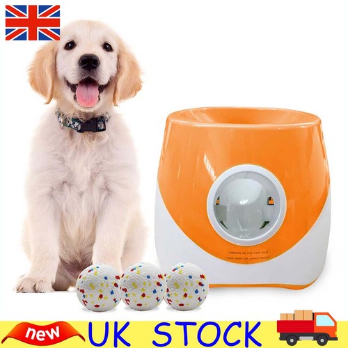 Dog automatic ball - dog,