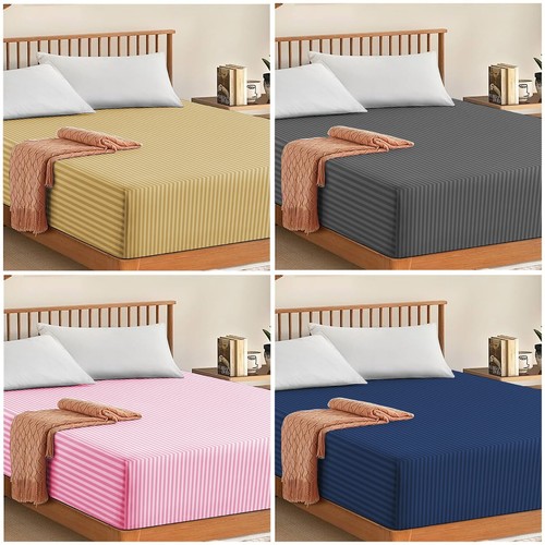 Egyptian stripe extra deep - extra,