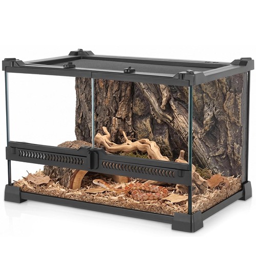Neptonion reptile - 12"x8"x8",