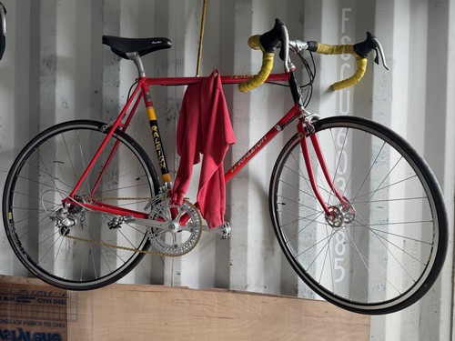Raleigh road bike team - road,