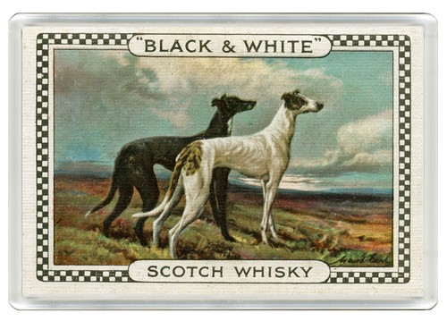 Greyhound dog fridge magnet - fridge,