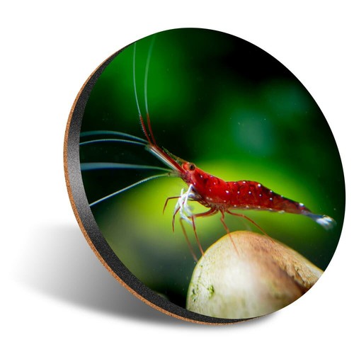 Round 12cm coaster dwarf - 1,