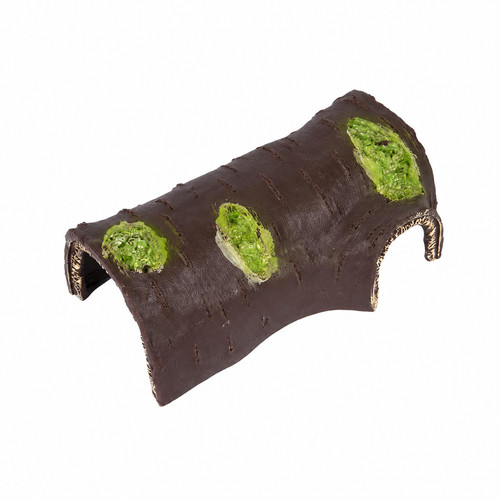 Snake hide for - snake, shedding