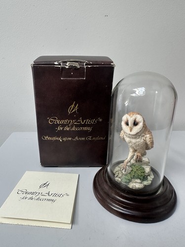 Country artists barn owl - country,