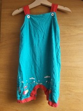 Little Green Radicals Summer