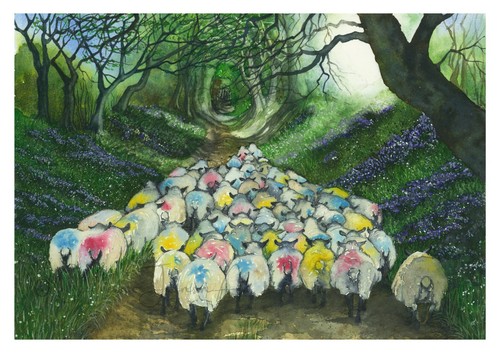 Sheep mounted giclée fine - sheep,