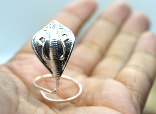 Silver nag hindu - nag, snake