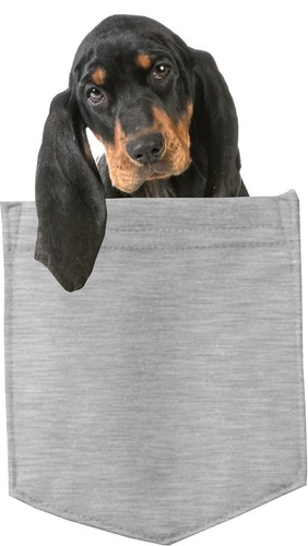 Black tan coonhound in - black,