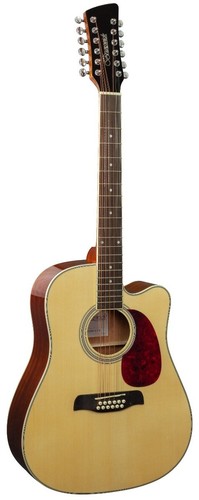 Brunswick bd20012 dreadnought - brunswick,