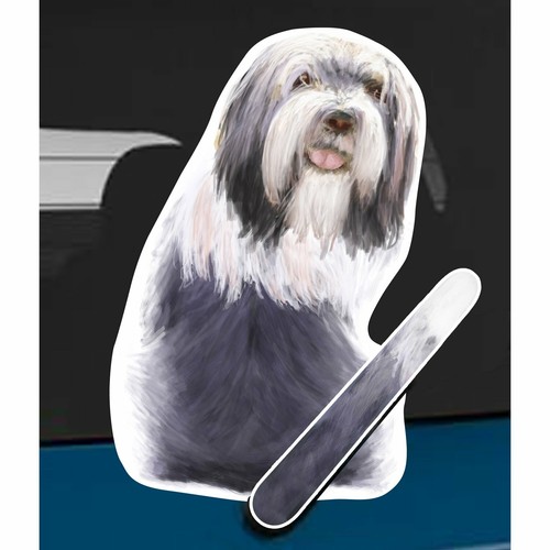Bearded collie dog rear car - bearded,