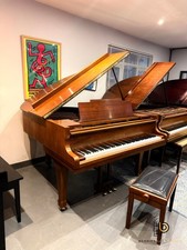 Kawai KG-1C - Superb Baby
