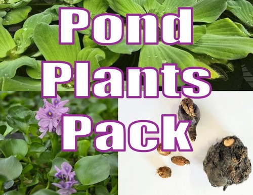 Pond plants pack - plants, aquatic