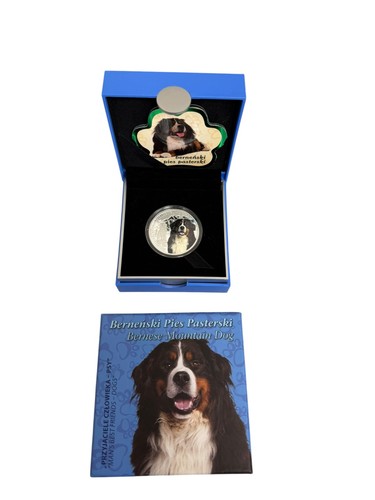 The bernese mountain - bernese,