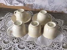 5 Rare Tiger Lily Royal Winton