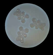 Handmade Crystal Teddy Bear