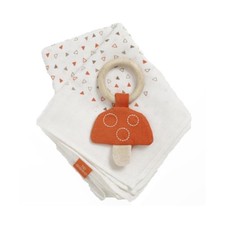 Natures Purest Woodland