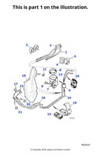 Jaguar Genuine Fuel Feed Hose