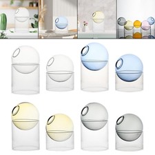 Hydroponic vase planter - hydroponic,