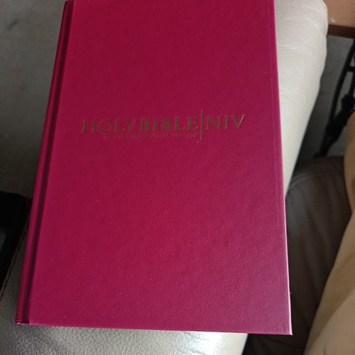Niv popular bible - popular, new