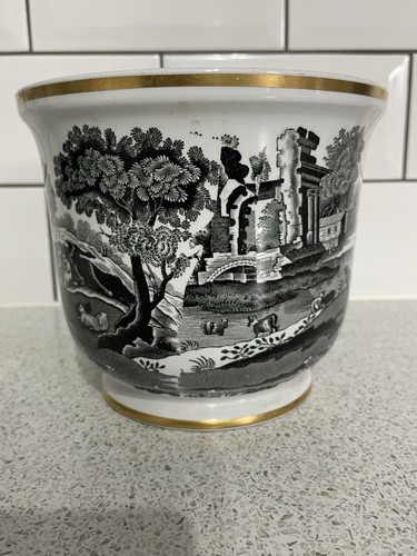 Copeland spode black - spode's, &