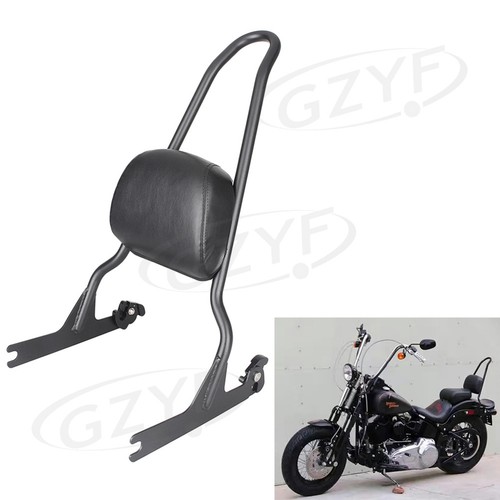 Detachable rear sissy bar - detachable,