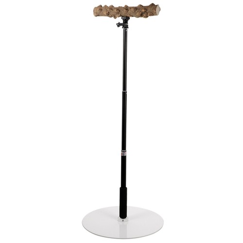 Adjustable height perch bird - adjustable,