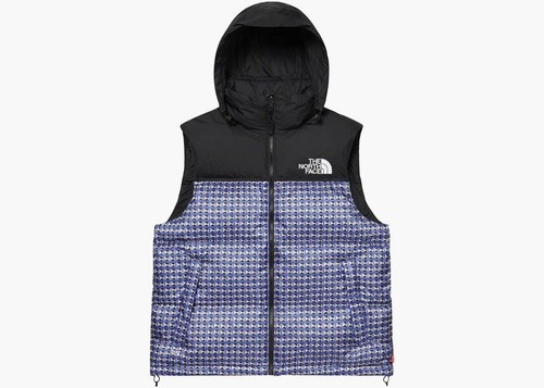 Supreme the north face - supreme, x