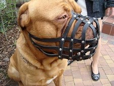 Light natural leather Dog