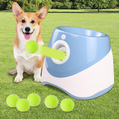 Automatic dog ball launcher - dog,