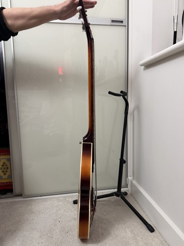 This violin shaped - this, violin-shaped