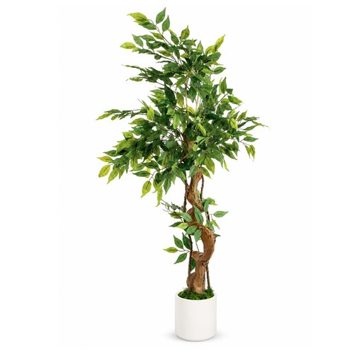 120 150cm faux - ficus, w/