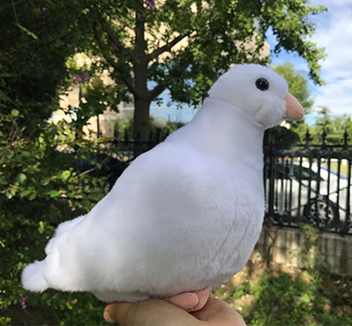 Simulation pigeon bird - bird, soft