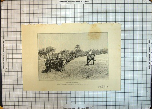 Original old antique print - old,