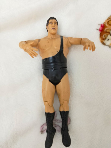 Wwe andre the - andre,