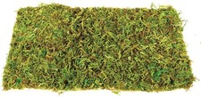 Komodo Natural Moss Mat