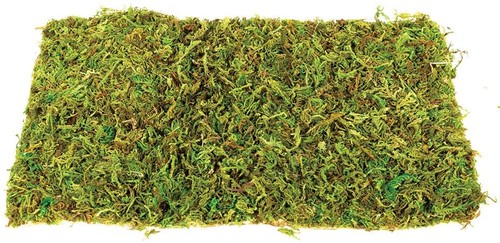 Komodo natural moss mat - natural,