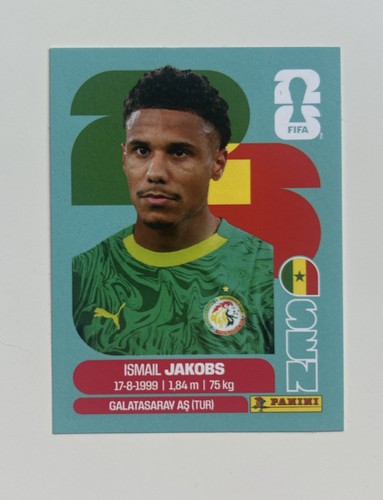 Panini world cup - panini,